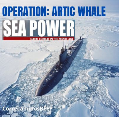 OPERATION ARTIC WHALE