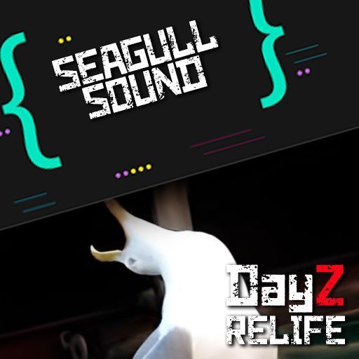 Seagull Sound (RELIFE)