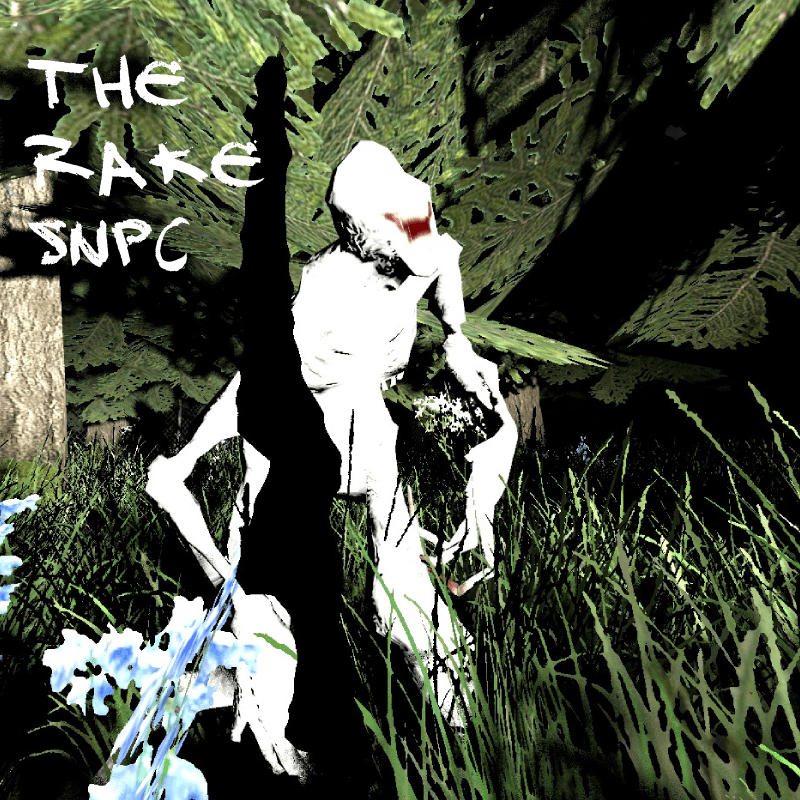 The Rake SNPC