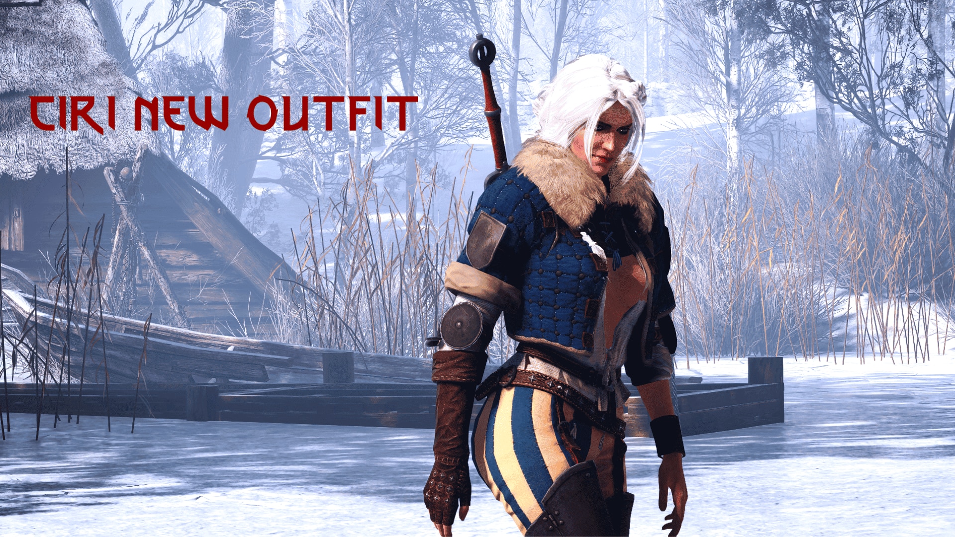Ciri New Outfit