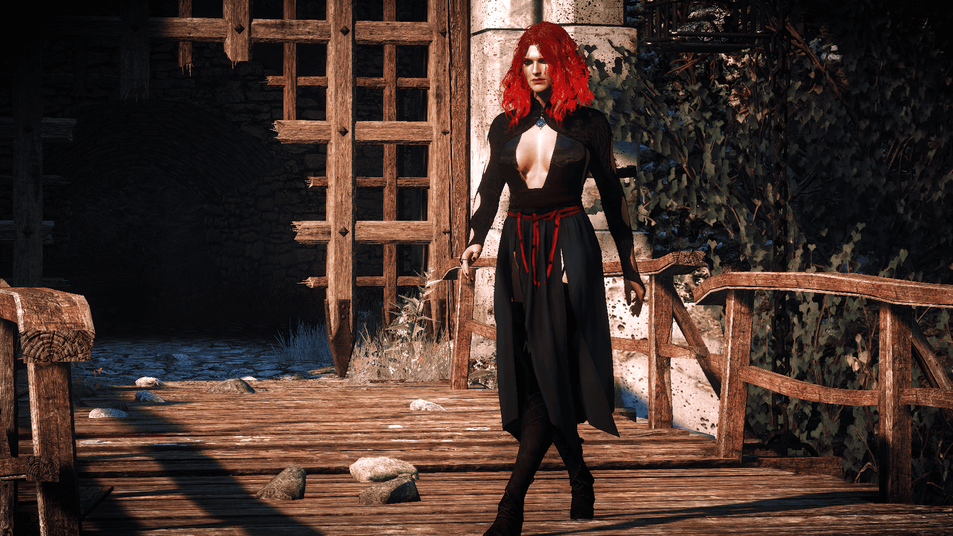 Triss Revision