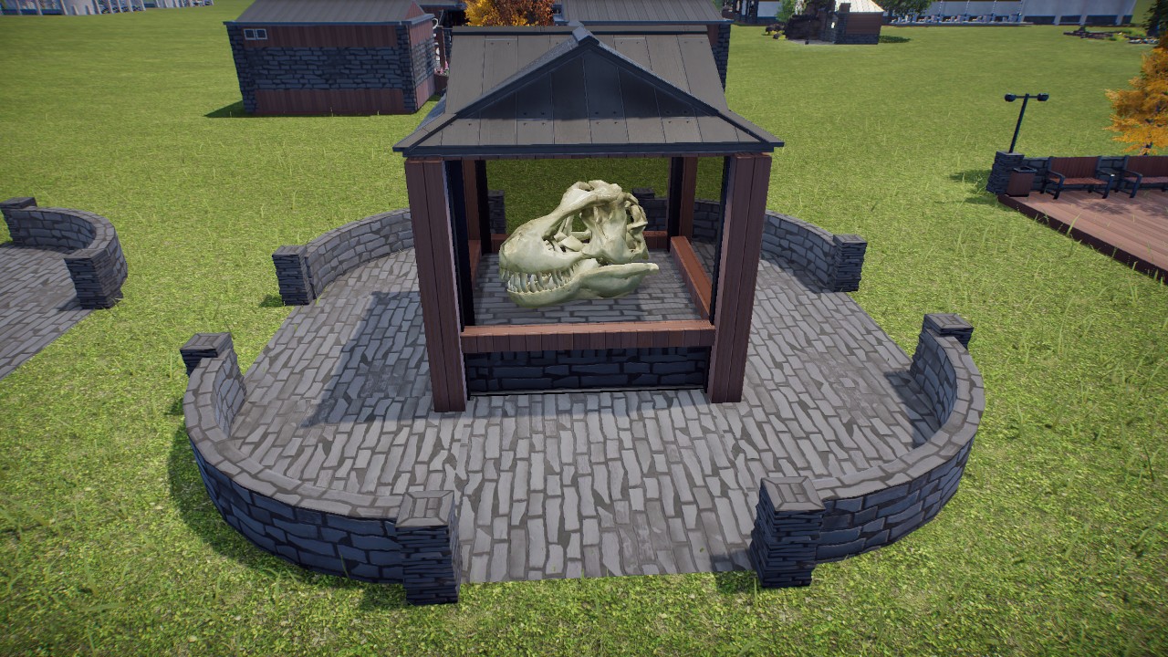 Display Case- Rex Skull