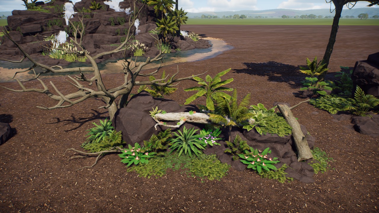 Tropical Rock