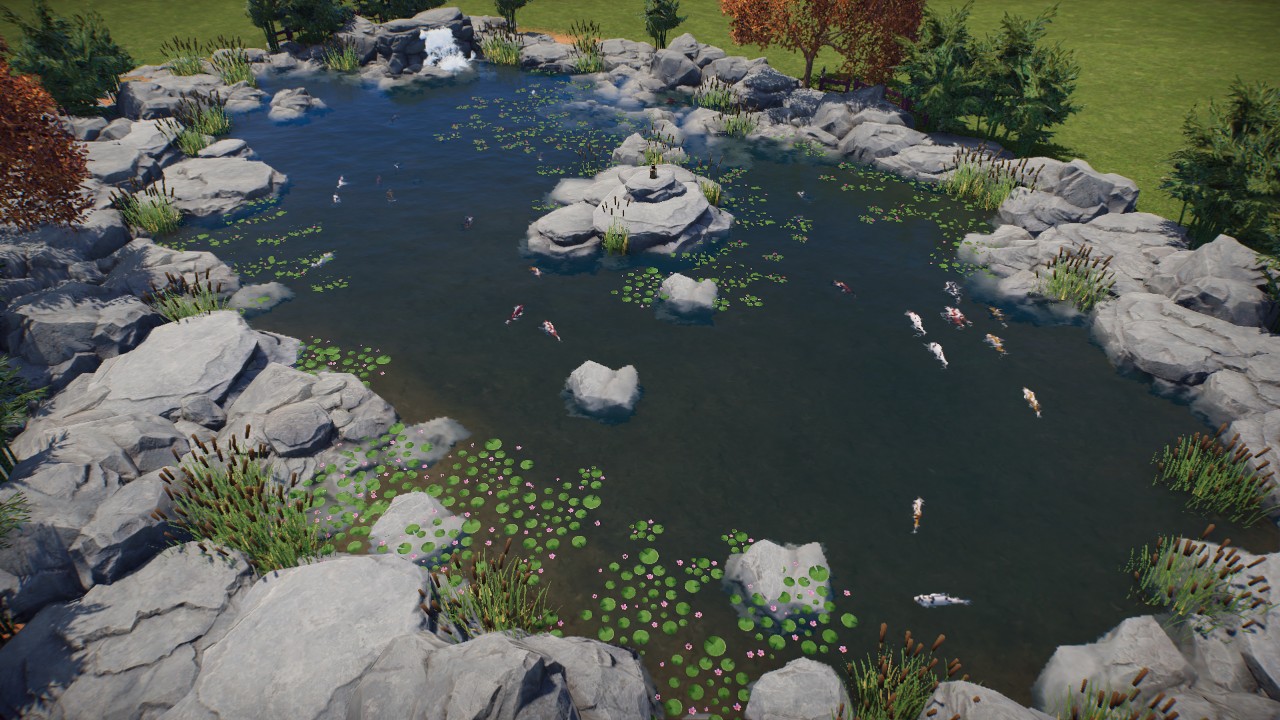 Large Koi Pond