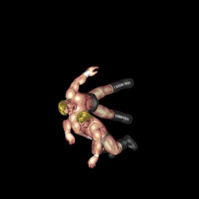 Wheelbarrow Arm Whip