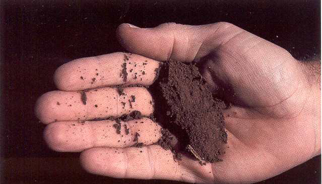 Sand & Clay Anywhere