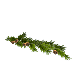 Christmas fir branches L