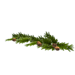 Christmas fir branches R