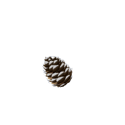 Christmas Pine Cone