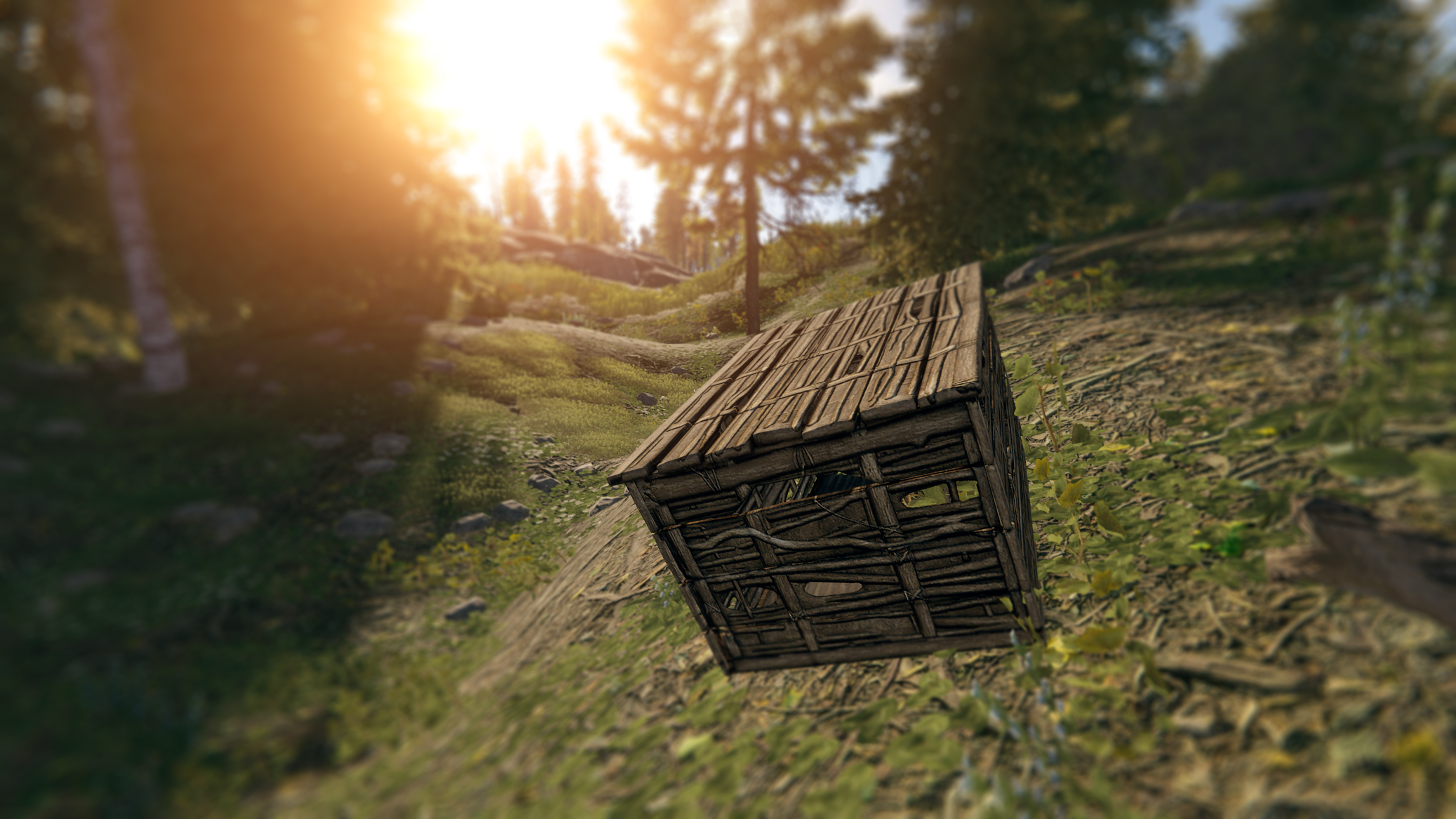 Twig Box