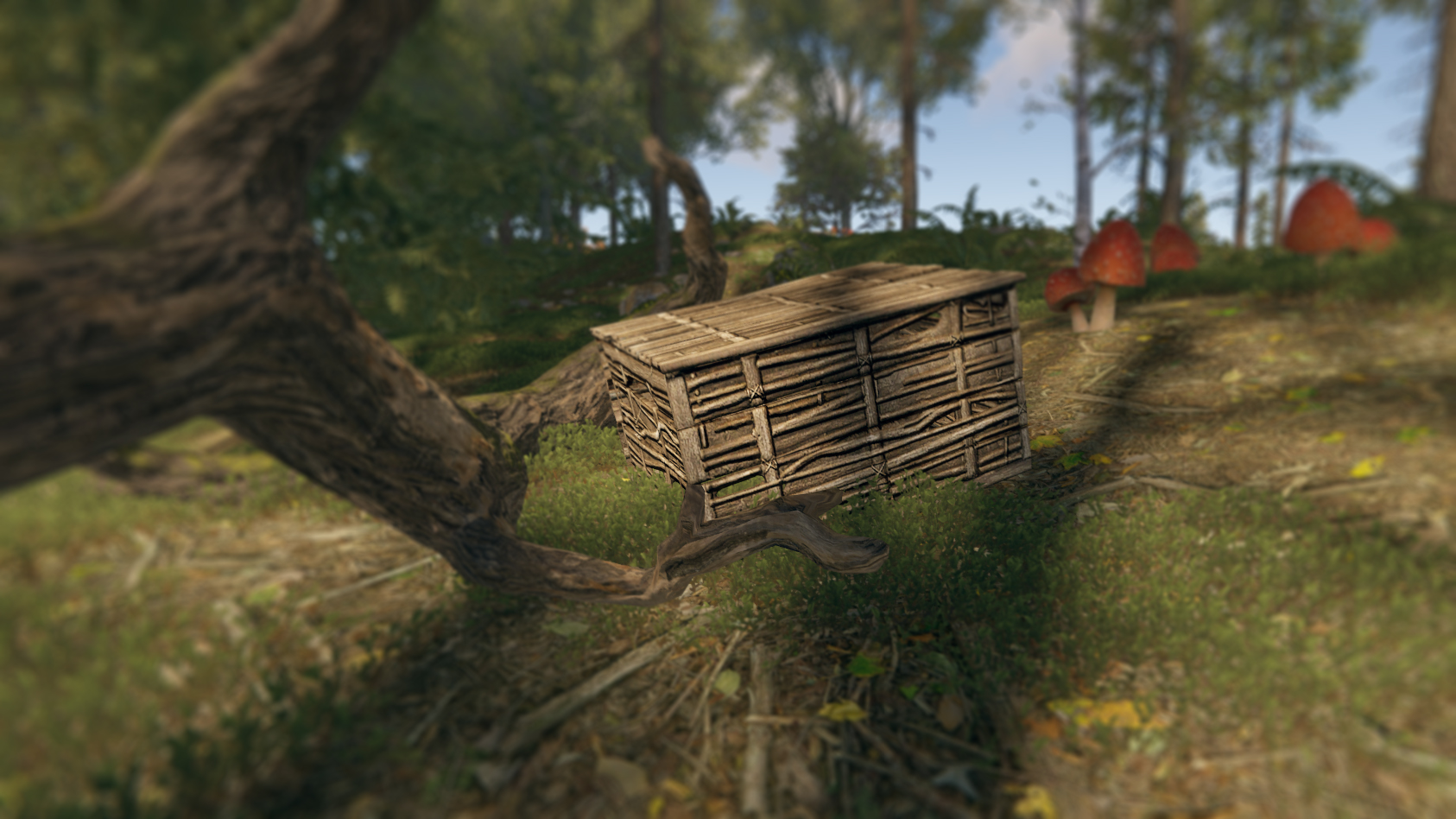 Twig Box