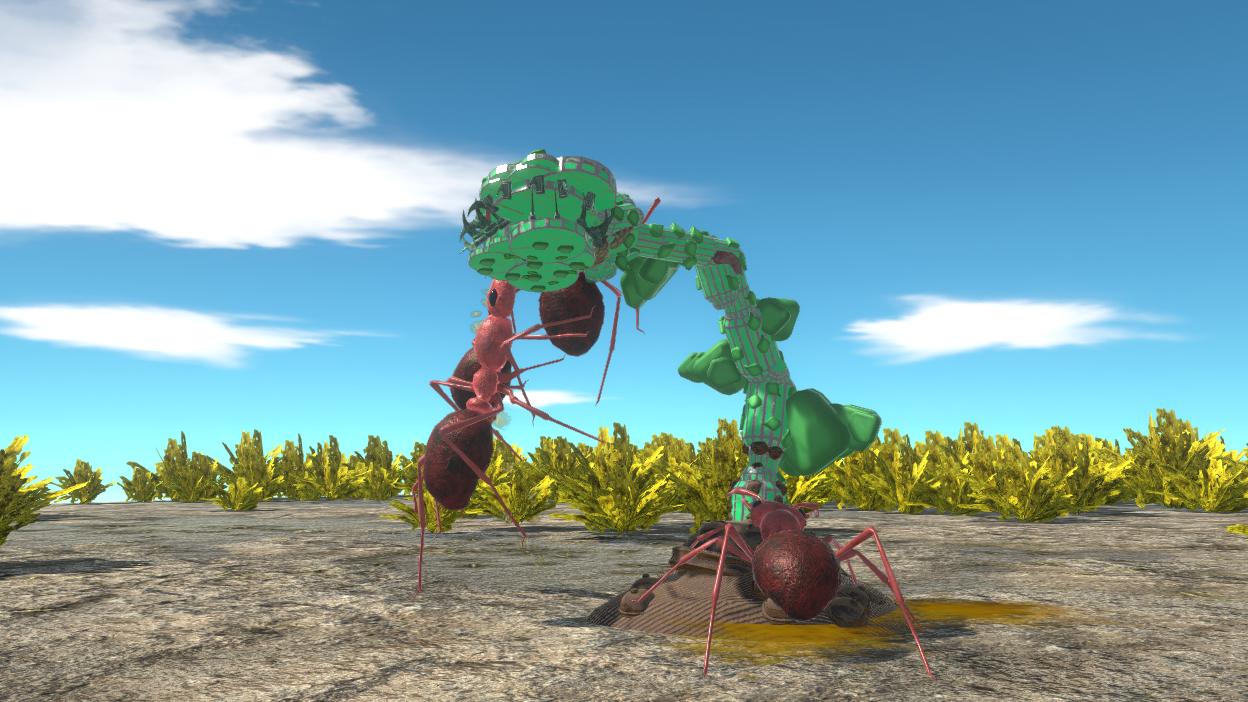 Venusflytrap