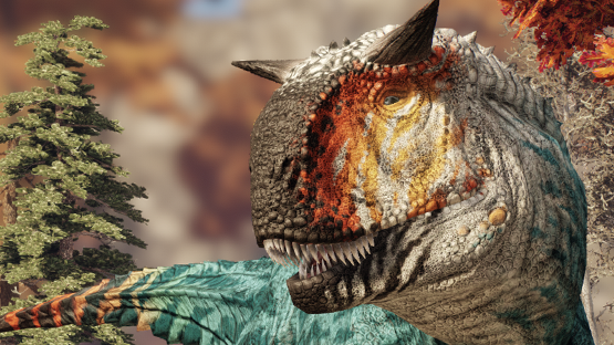 Winter sunkissed Carno