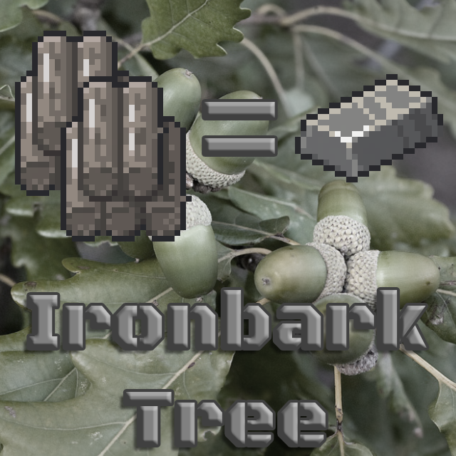 Ironbark Tree