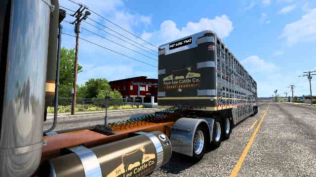 Faye Lee Cattle Co. SKIN 4 B4RT Wilson Silverstar 53