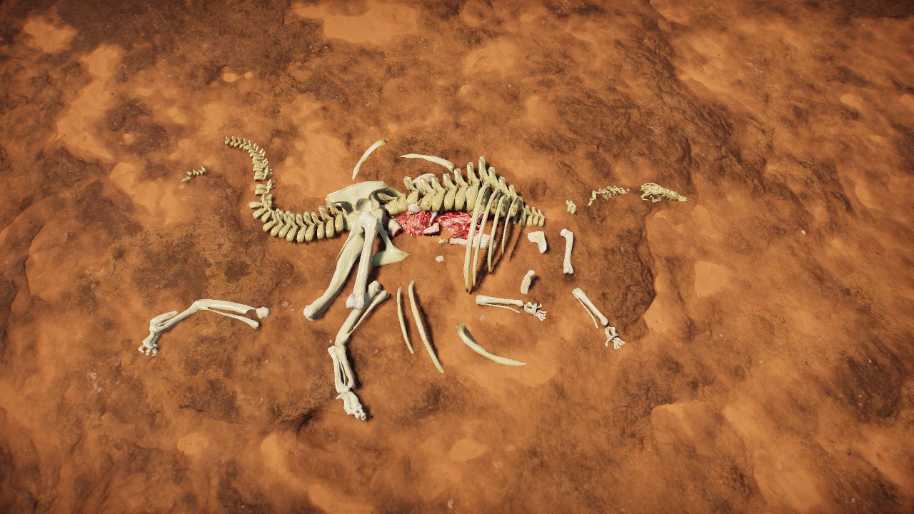 (Feeder) Dinosaur remains. / (Alimentador) Restos de dinosaurio.