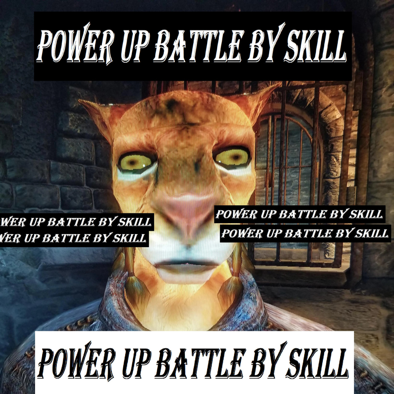 Khajiit + Power up battle by skill patch