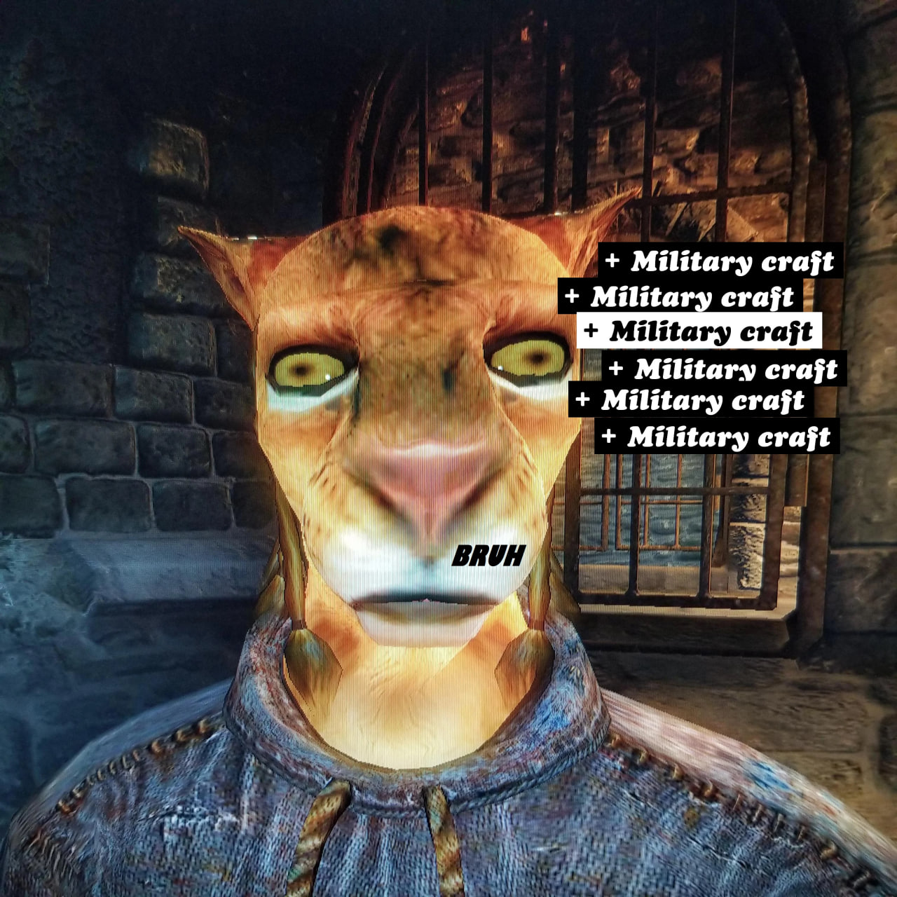 Khajiit + Millitary craft patch