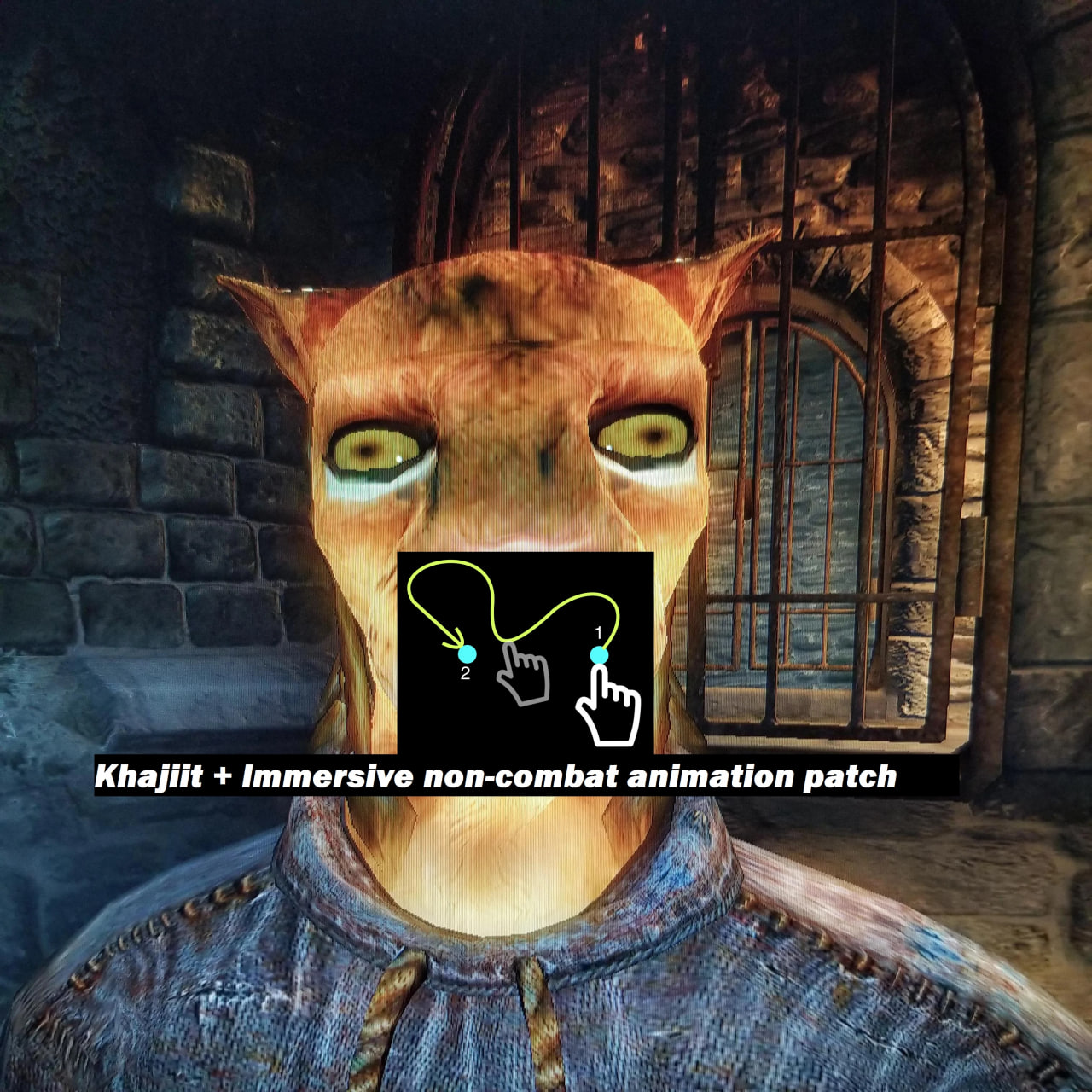 Khajiit + Immersive non-combat animation patch
