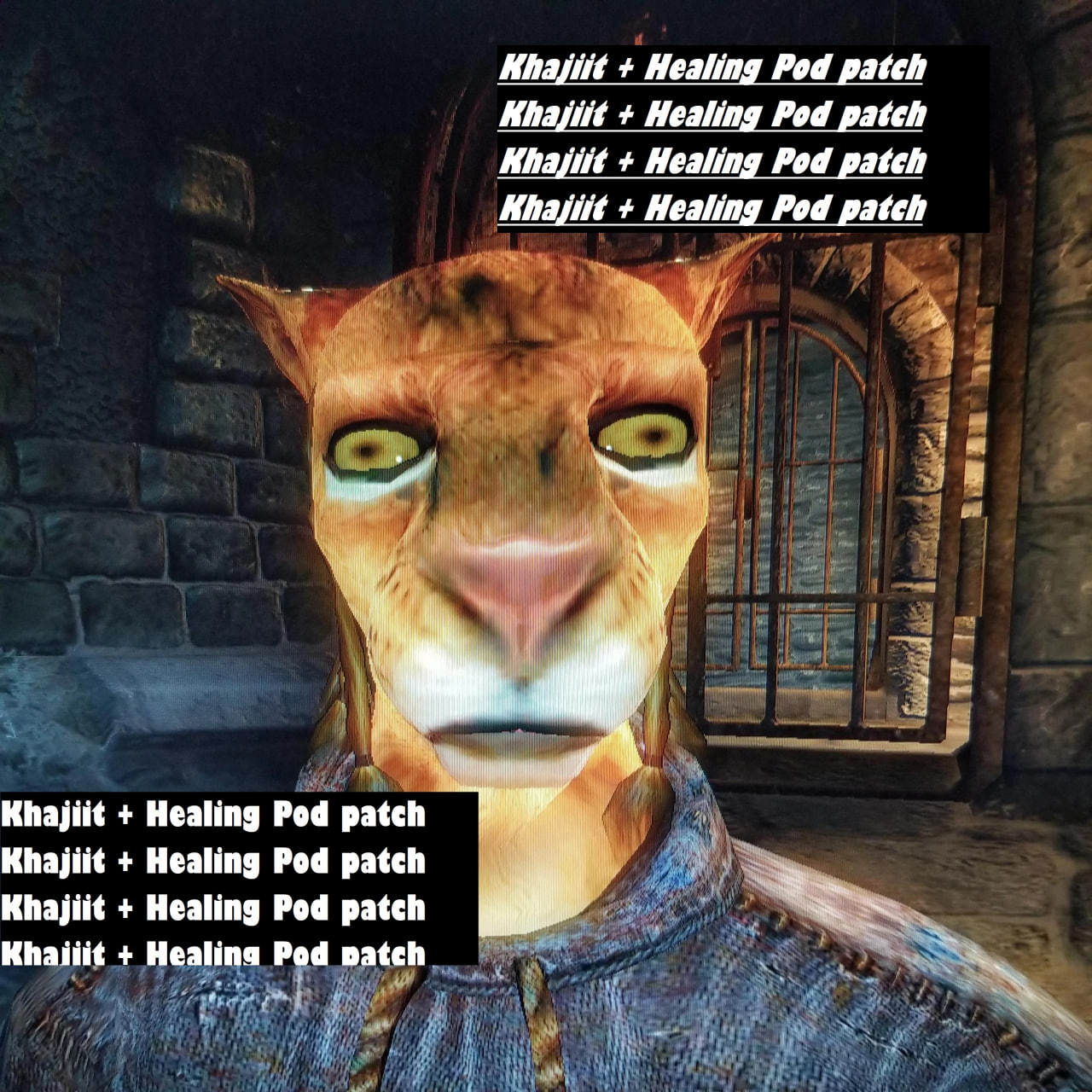 Khajiit + Healing Pod patch
