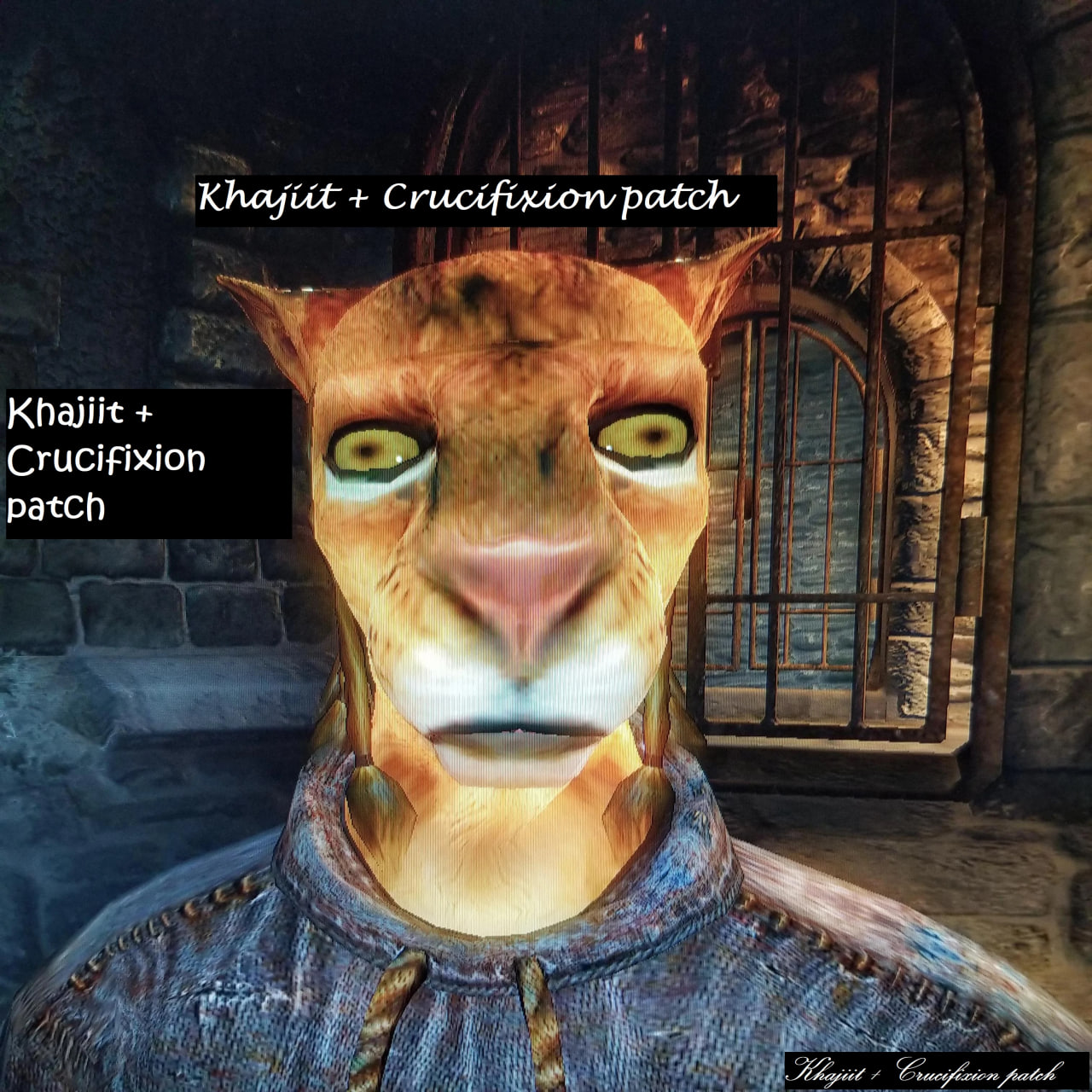 Khajiit + Crucifixion patch