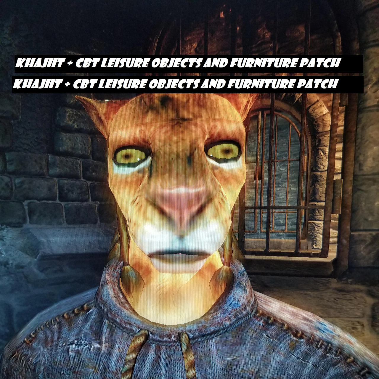 Khajiit + CBT Leisure Objects and Furniture patch