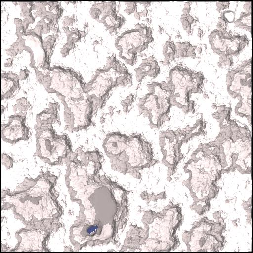 Arctic_BR