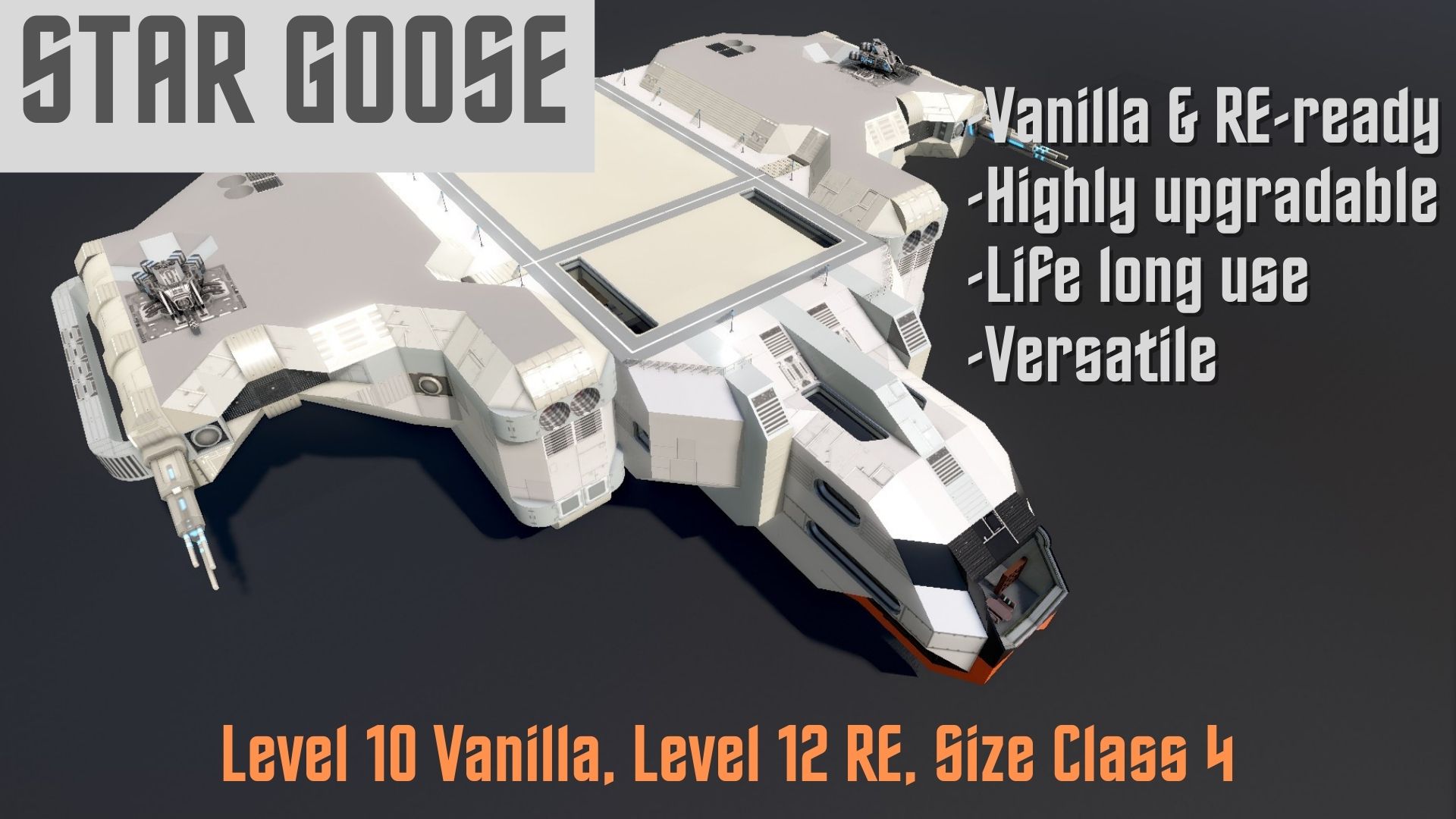 Star Goose