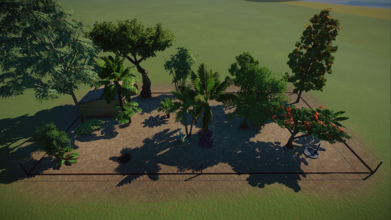 Box Southern Cassowary Habitat (1.12)