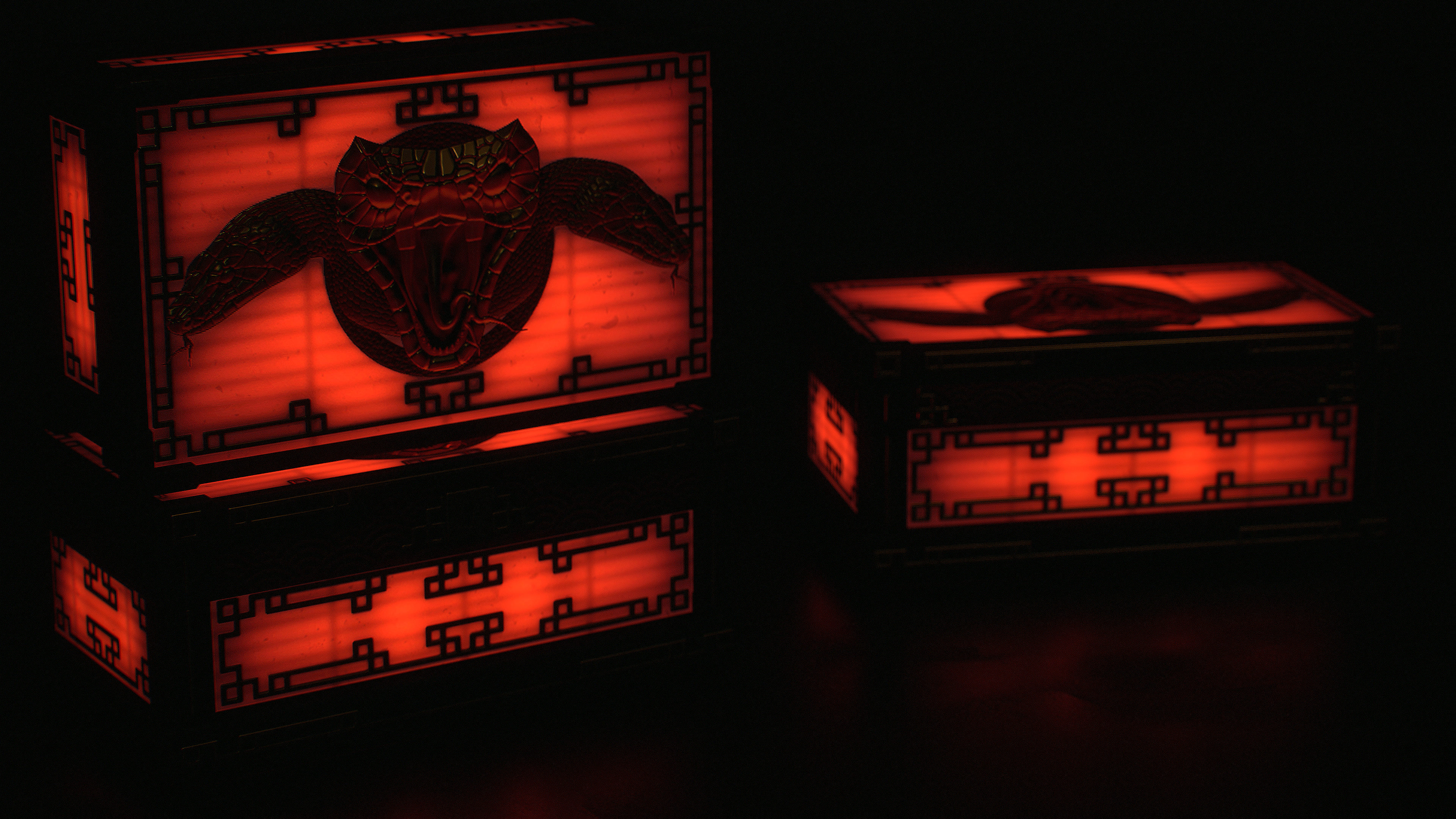 Large Snake Box