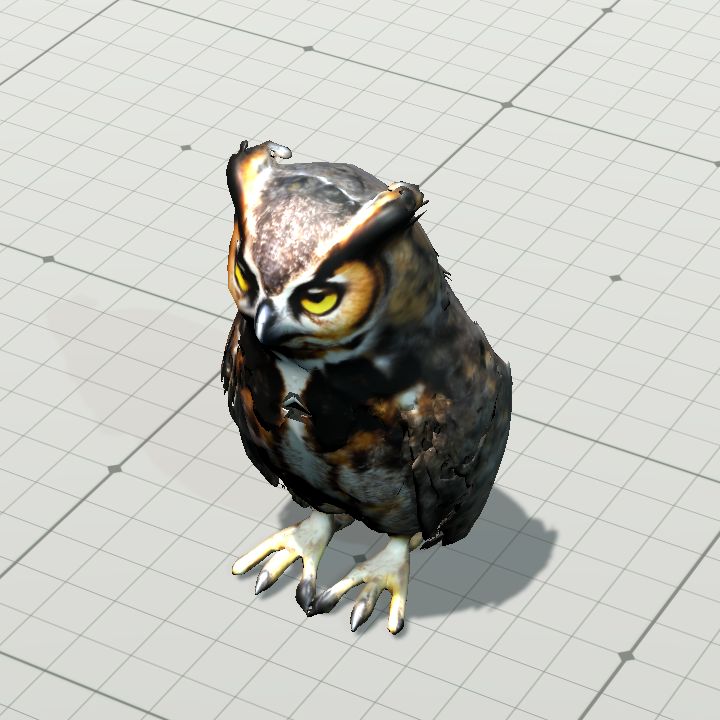 Great horned owl
