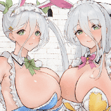 月光与闪光 (闪乱神乐)-Gekko & Senko (Senran Kagura)-月光と閃光 (閃乱カグラ)