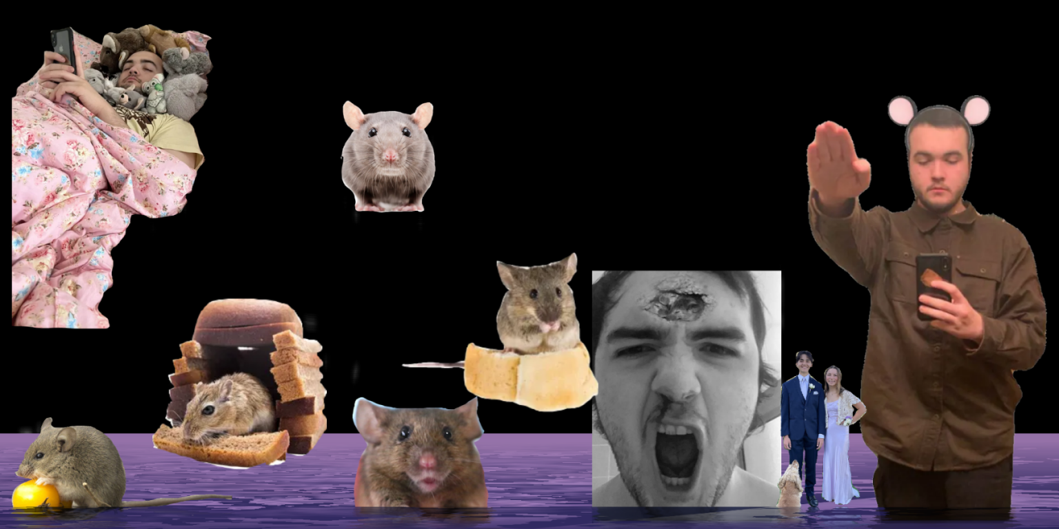 the crazy mice
