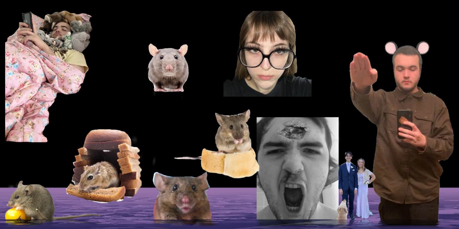 crazy mice 2