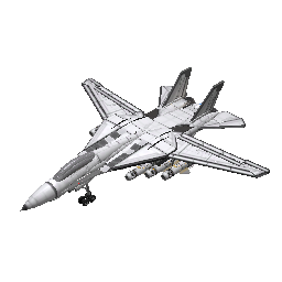 F-14 Toncat