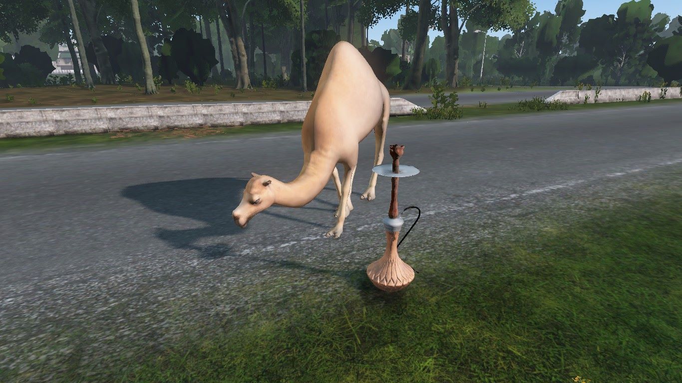 One_Camel