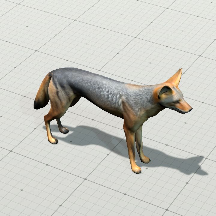 Jackal