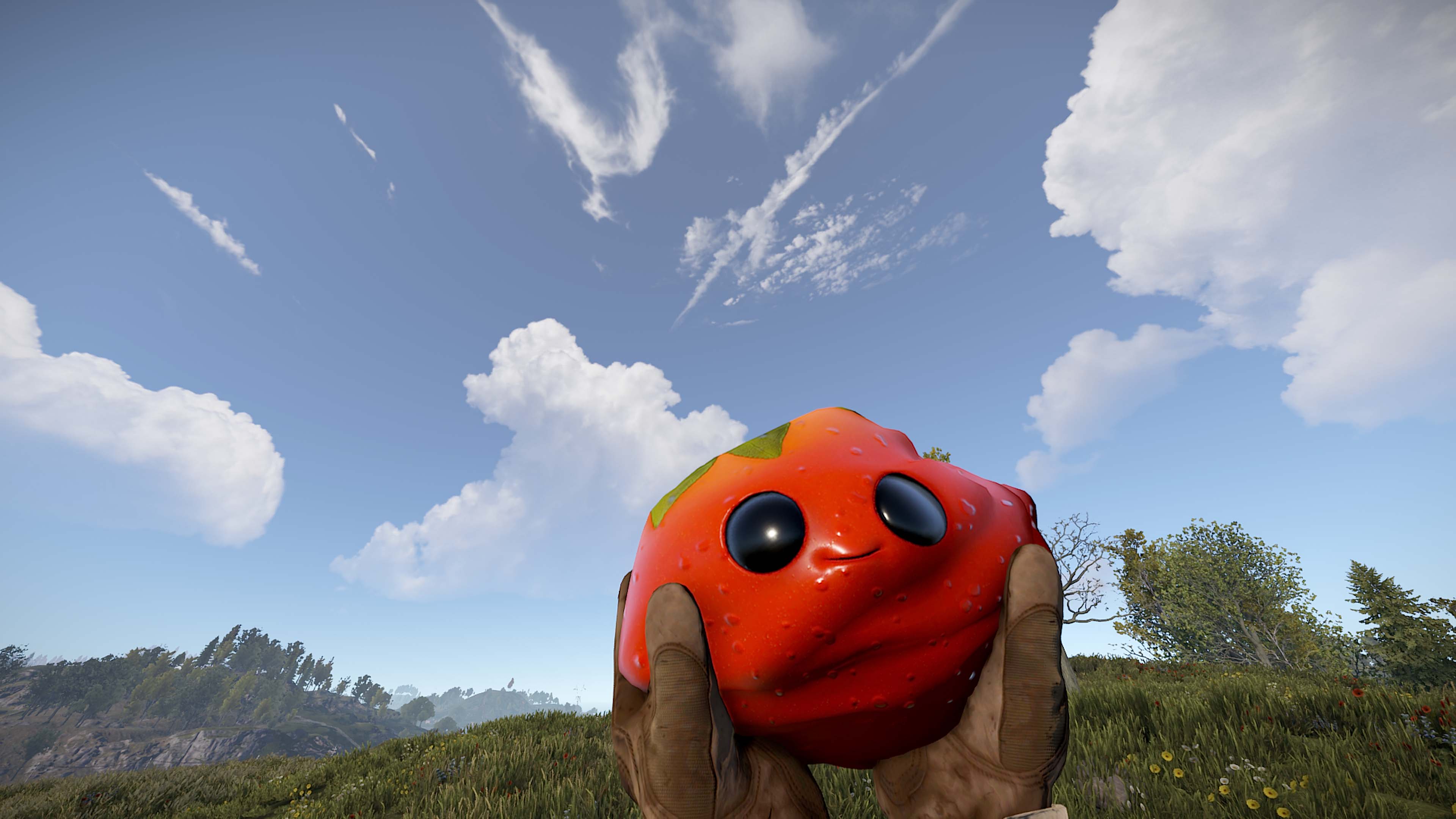 Señor Tomato thumbnail 8
