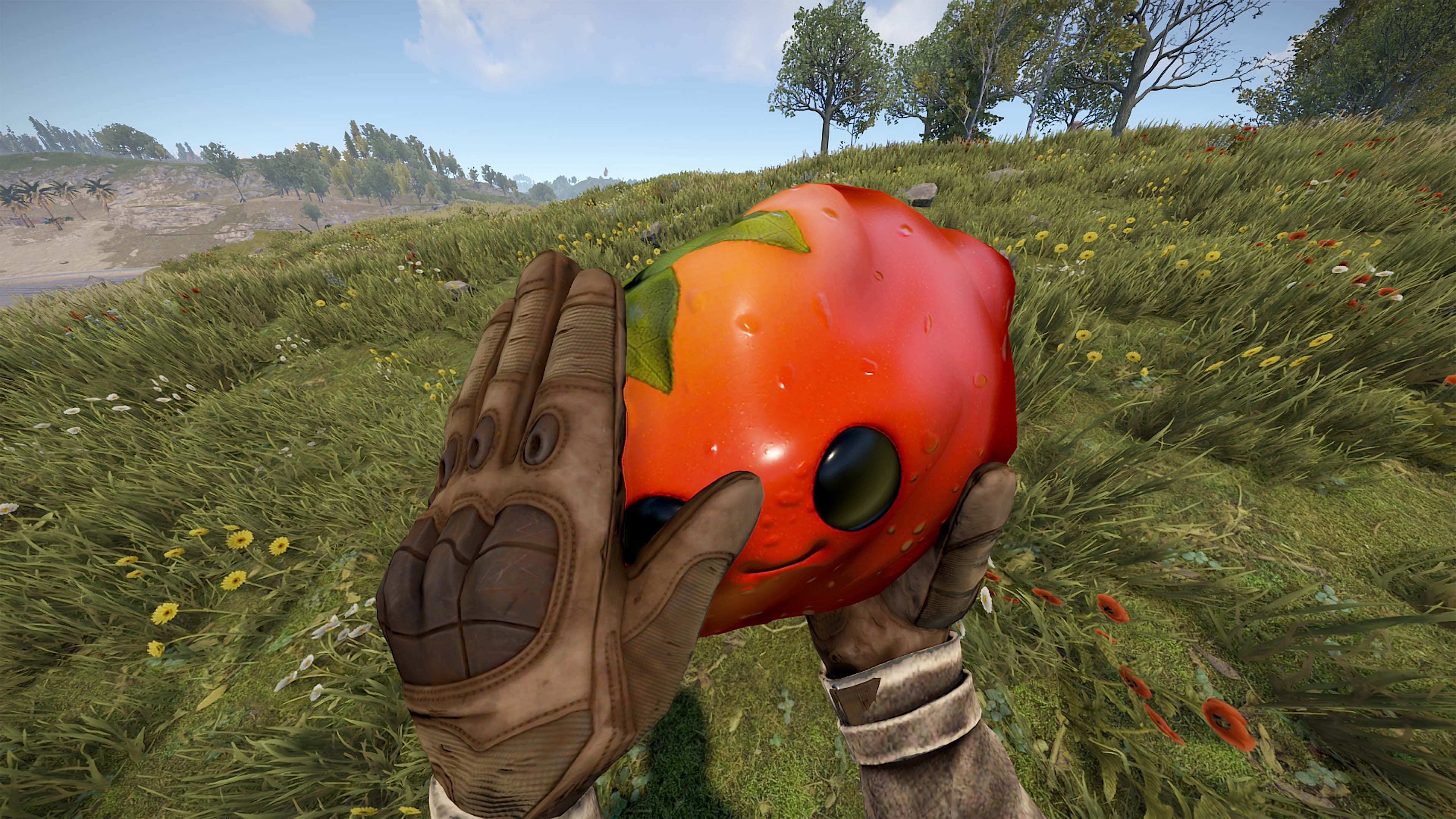 Señor Tomato thumbnail 5