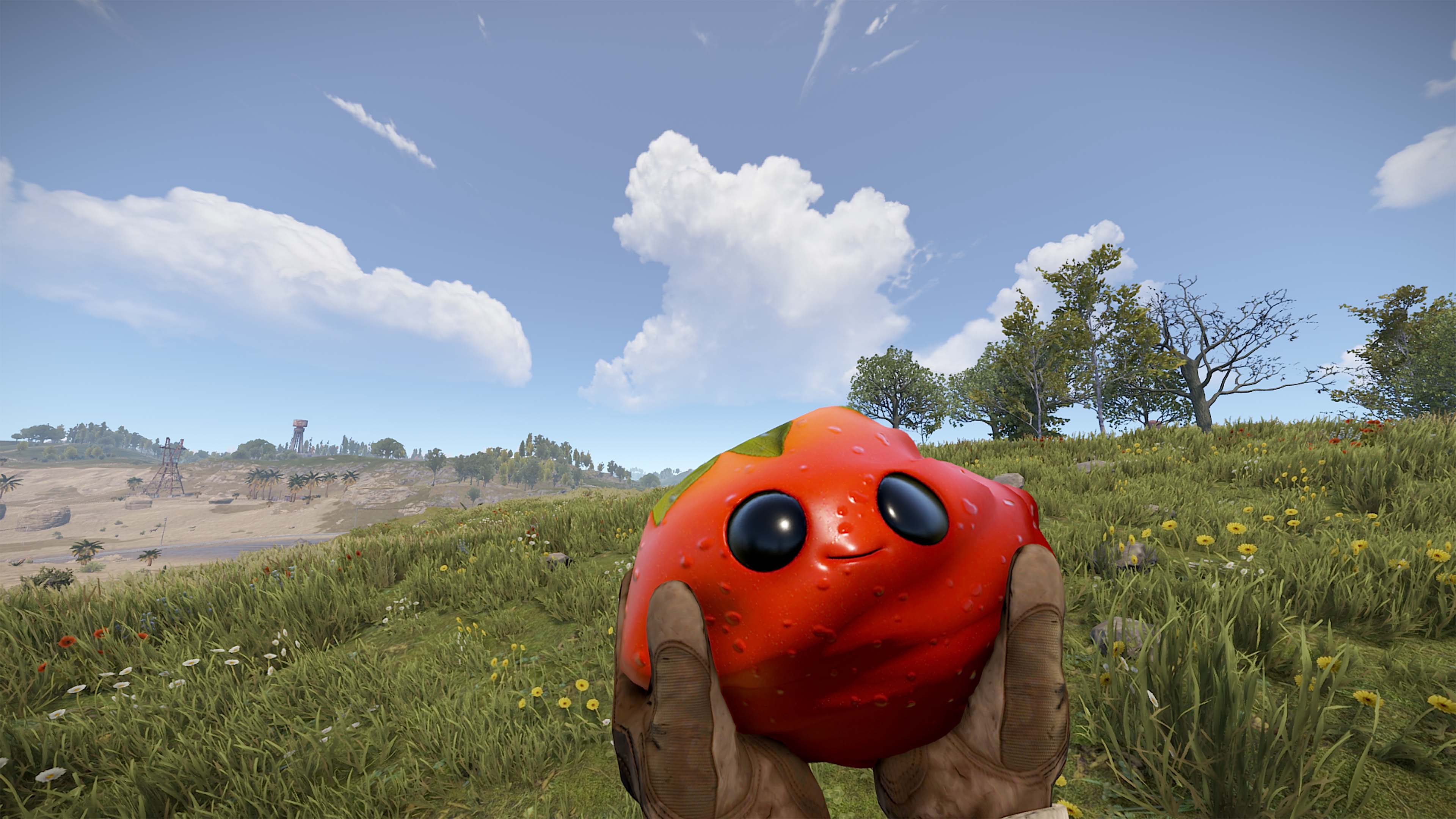 Señor Tomato thumbnail 3