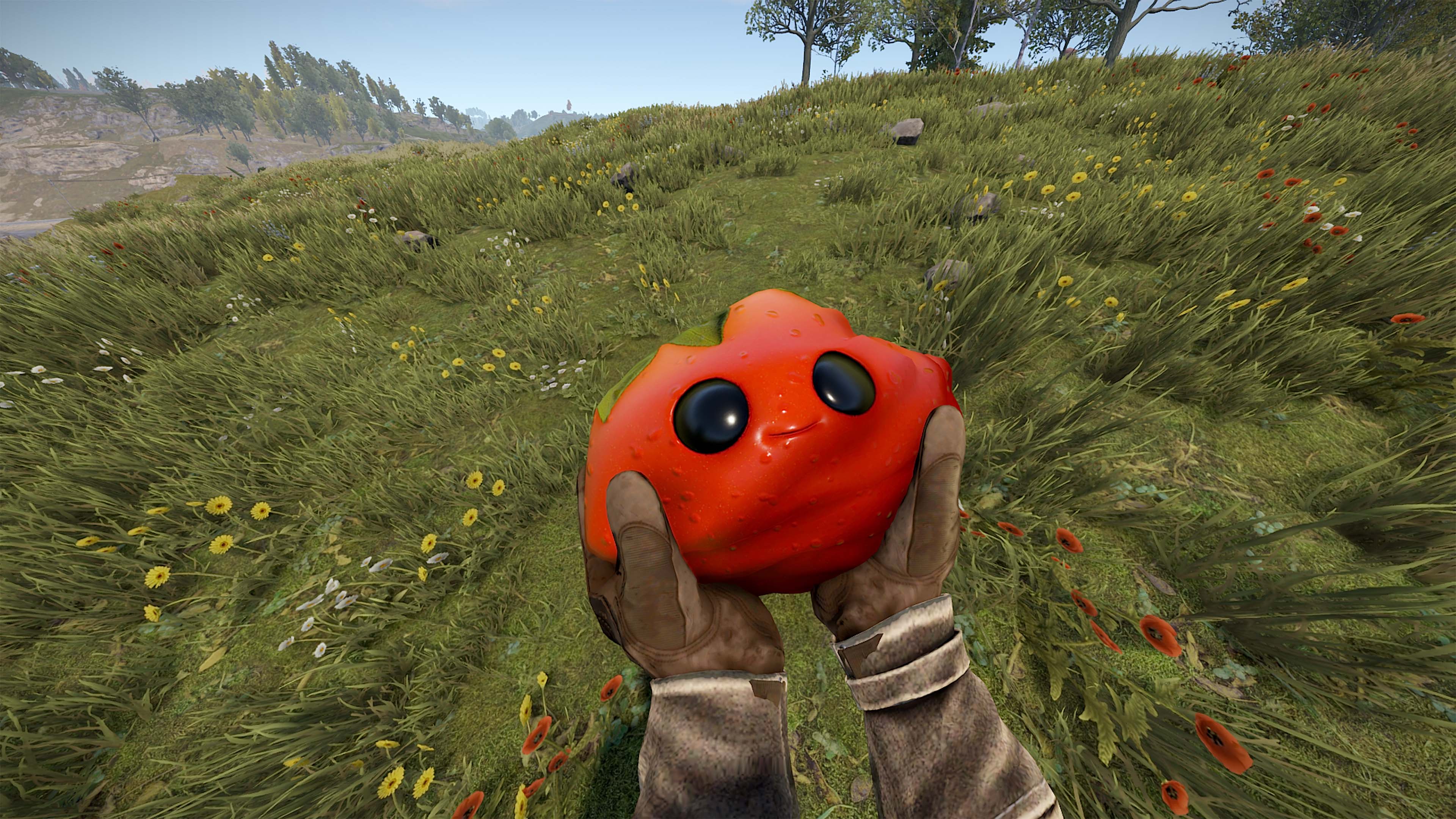Señor Tomato thumbnail 4