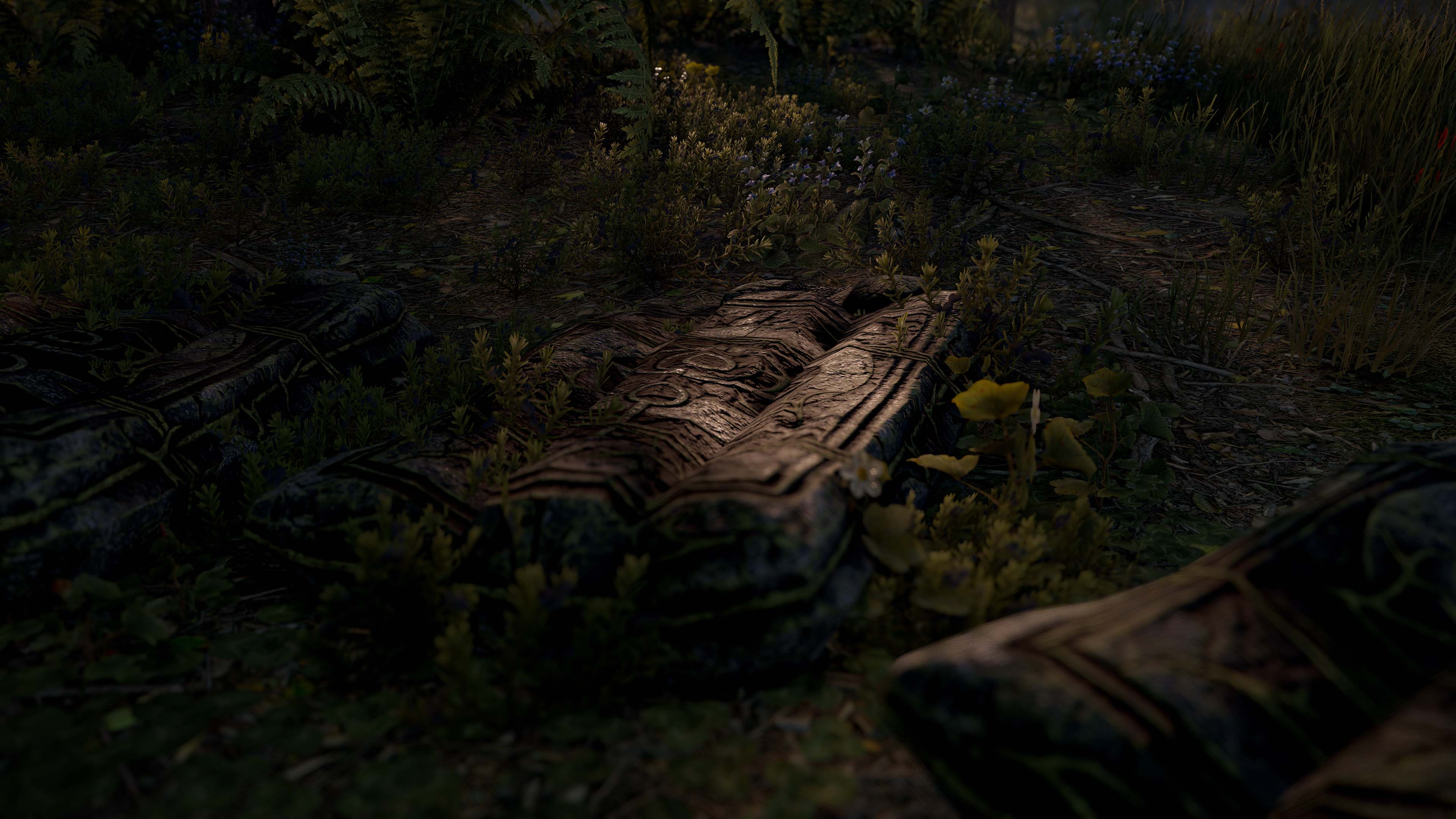 Jungle Tomb Sleeping Bag