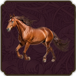 [1.11] 马与轨道 | Horses and Track
