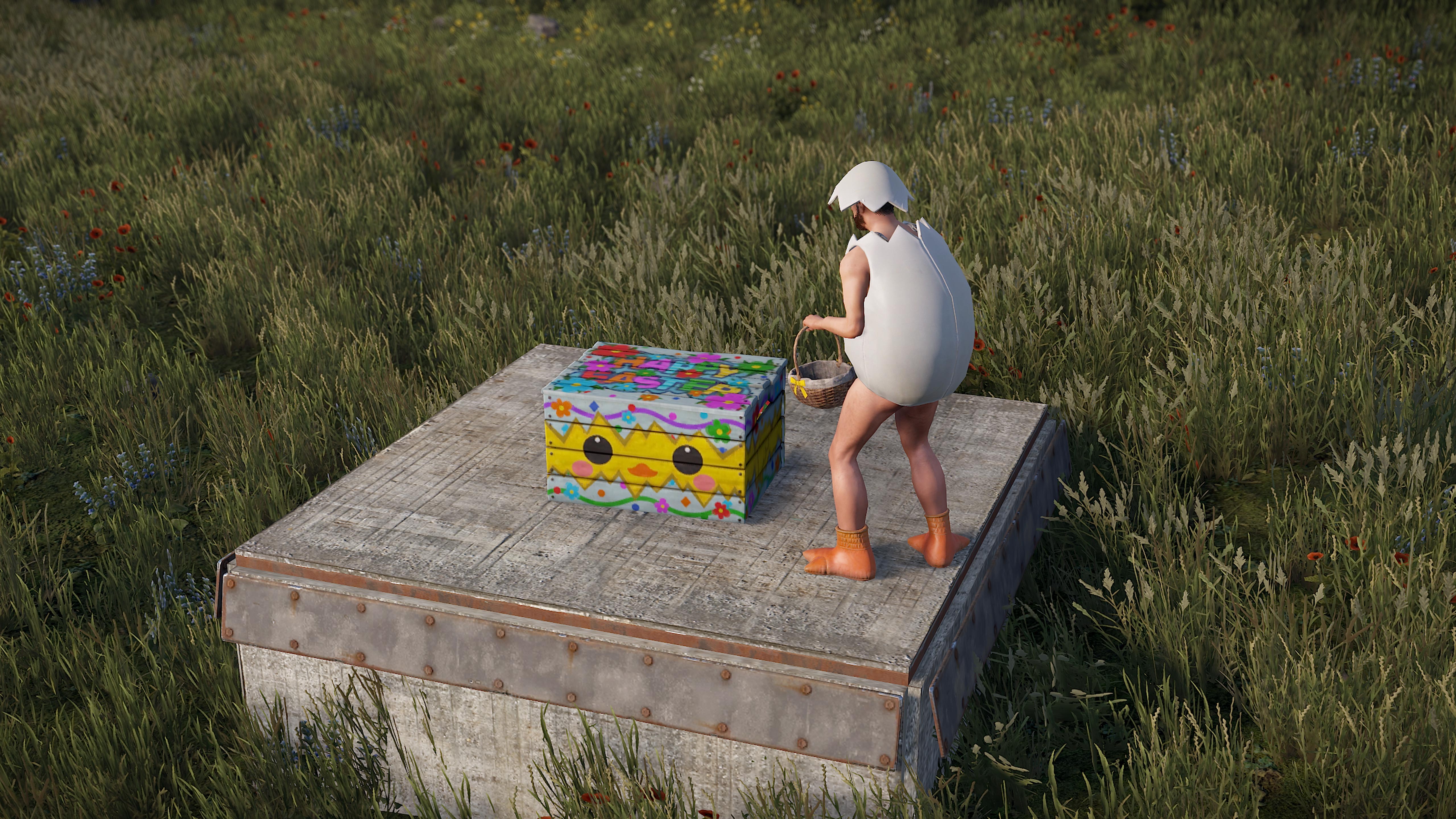 Easter Chicken Small Box thumbnail 3