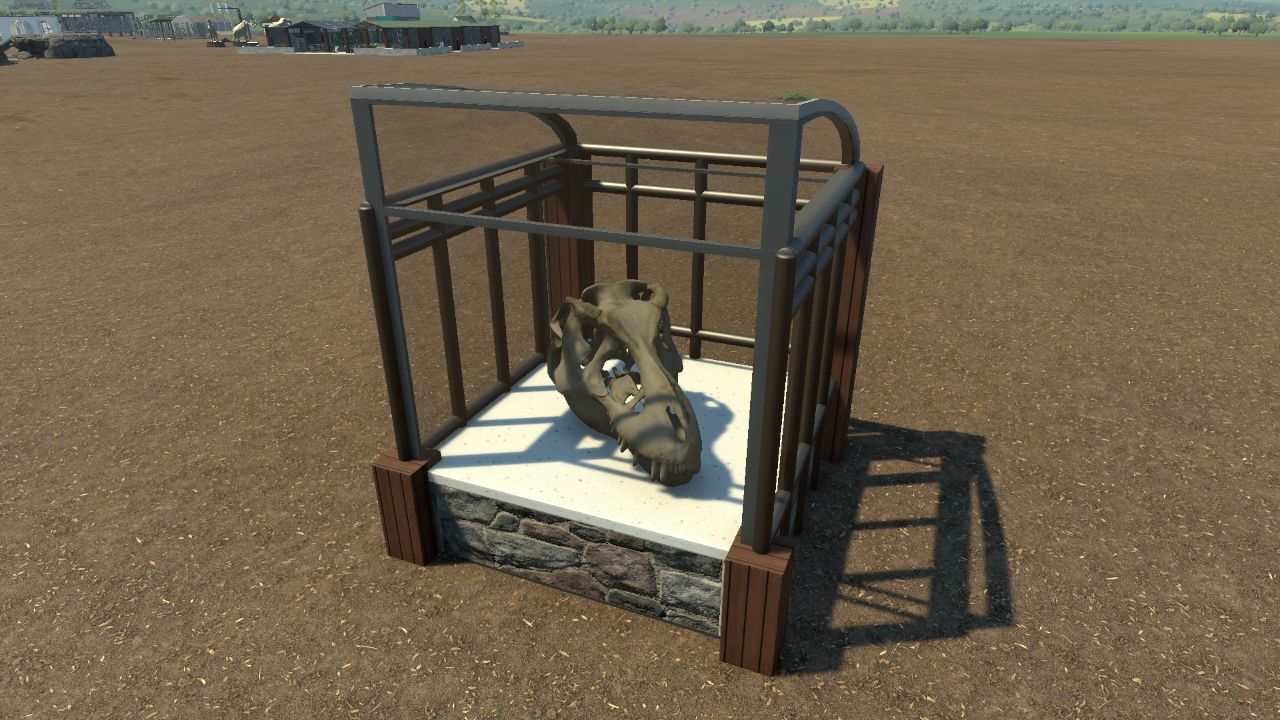 Rex Skull Display