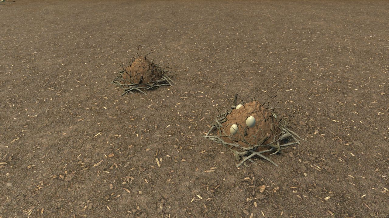 Mound Nests