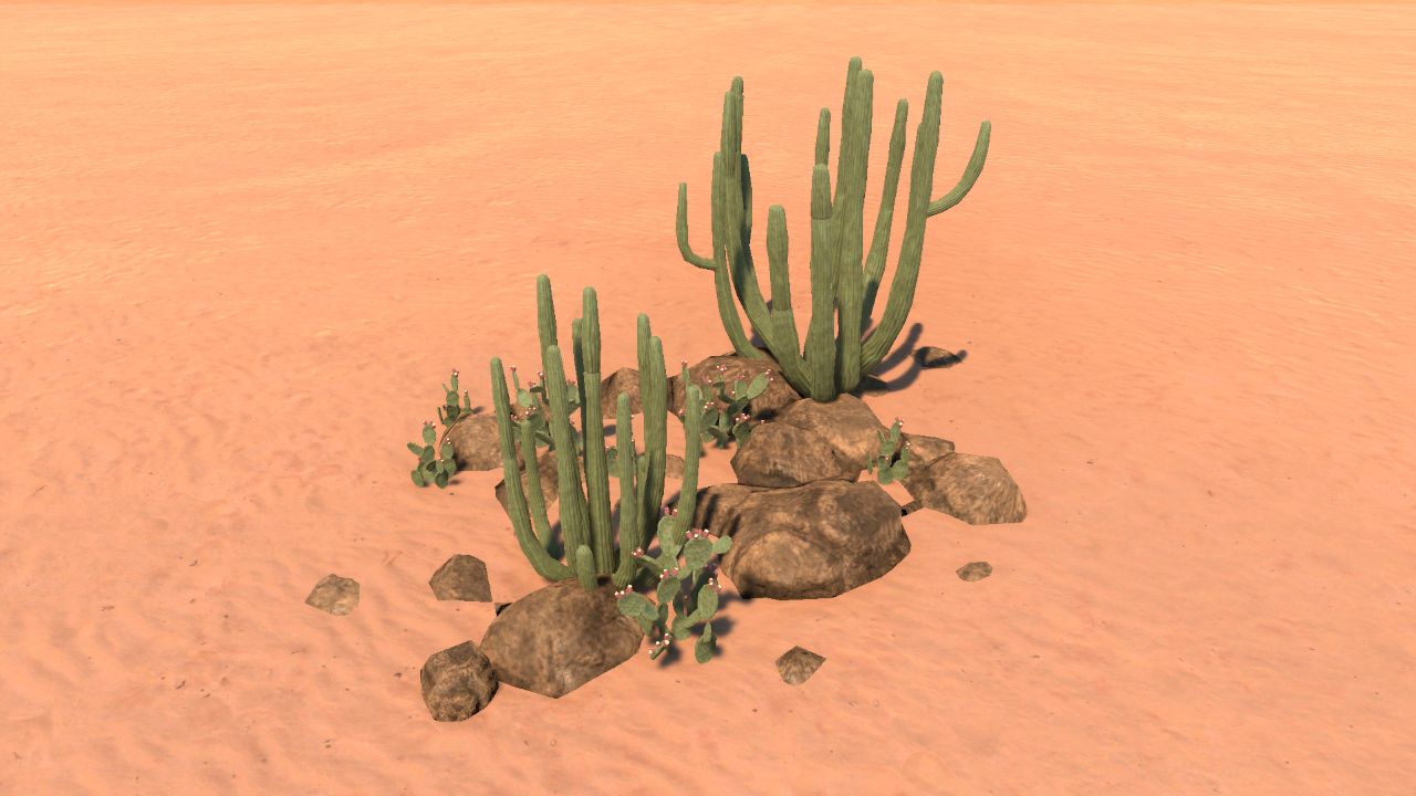 Desert Cluster