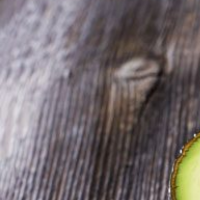 Avocabros