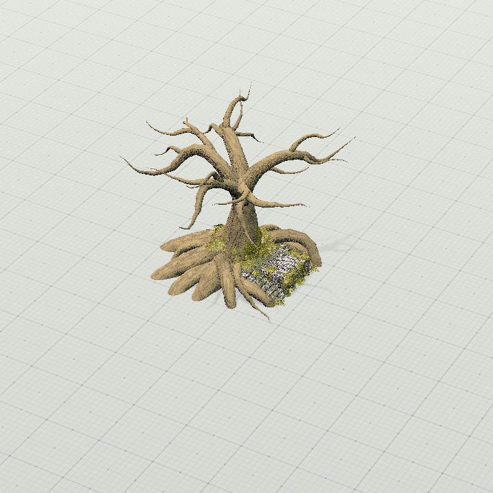 Tree Stone Platform
