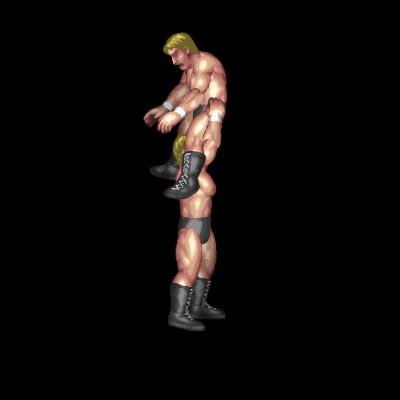 Powerbomb to Facebuster